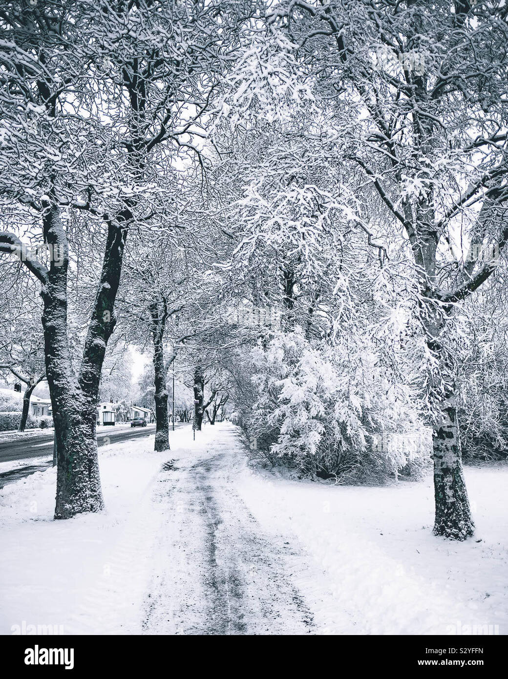Schnee-Straße Stockfoto