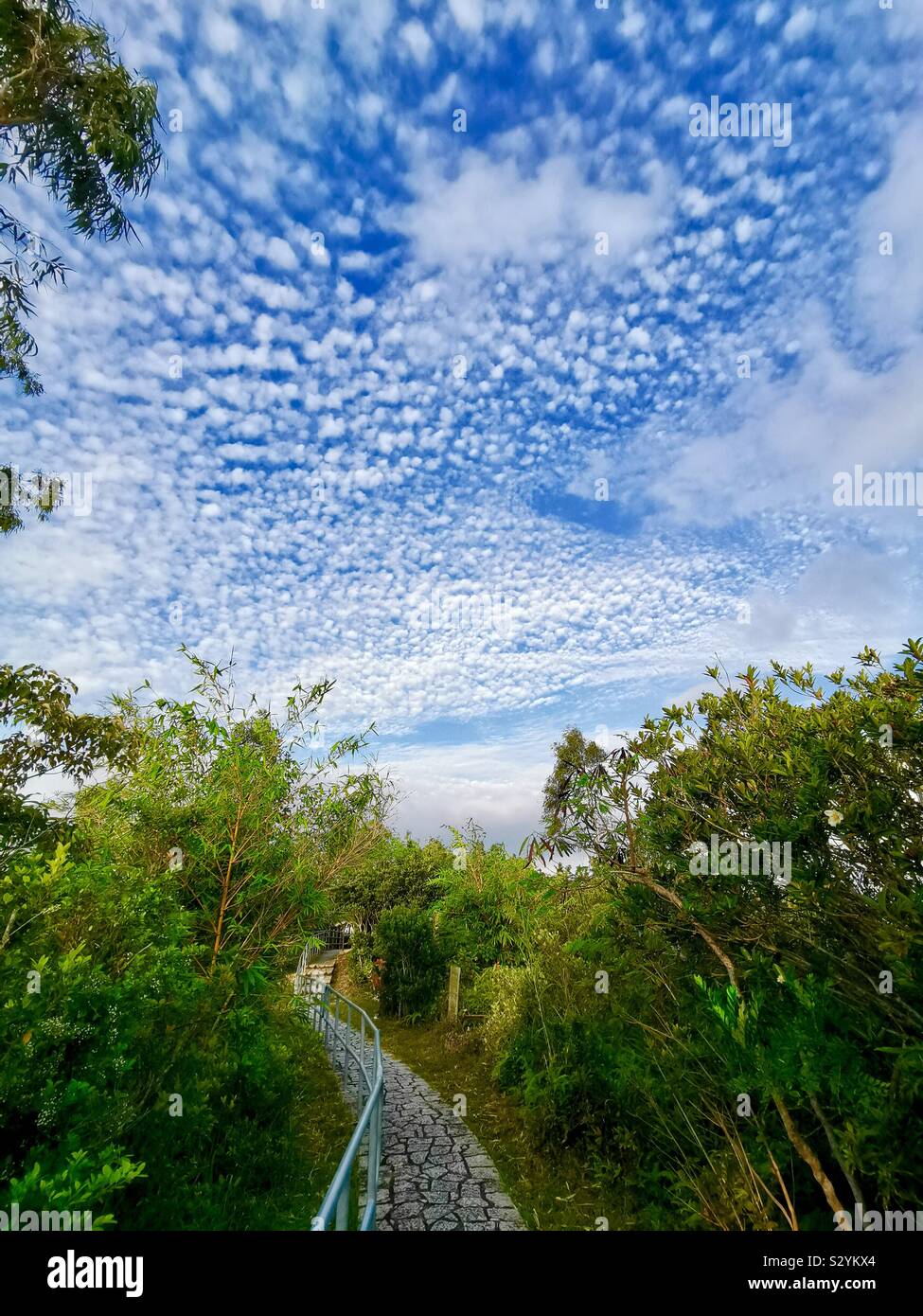 Morgen Wanderungen in Hongkong. Stockfoto