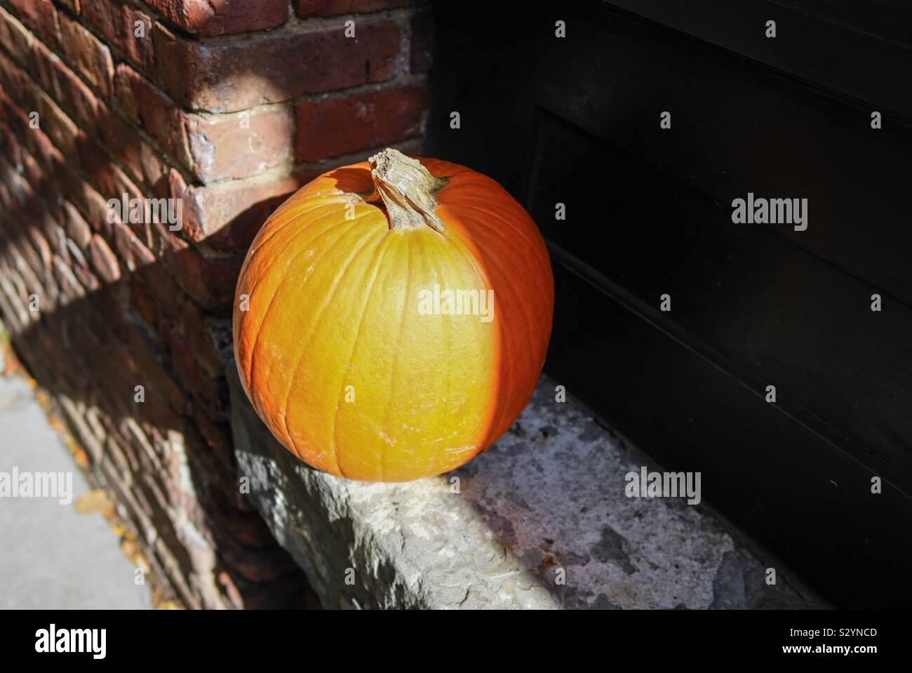 Herbst-Kürbis Stockfoto