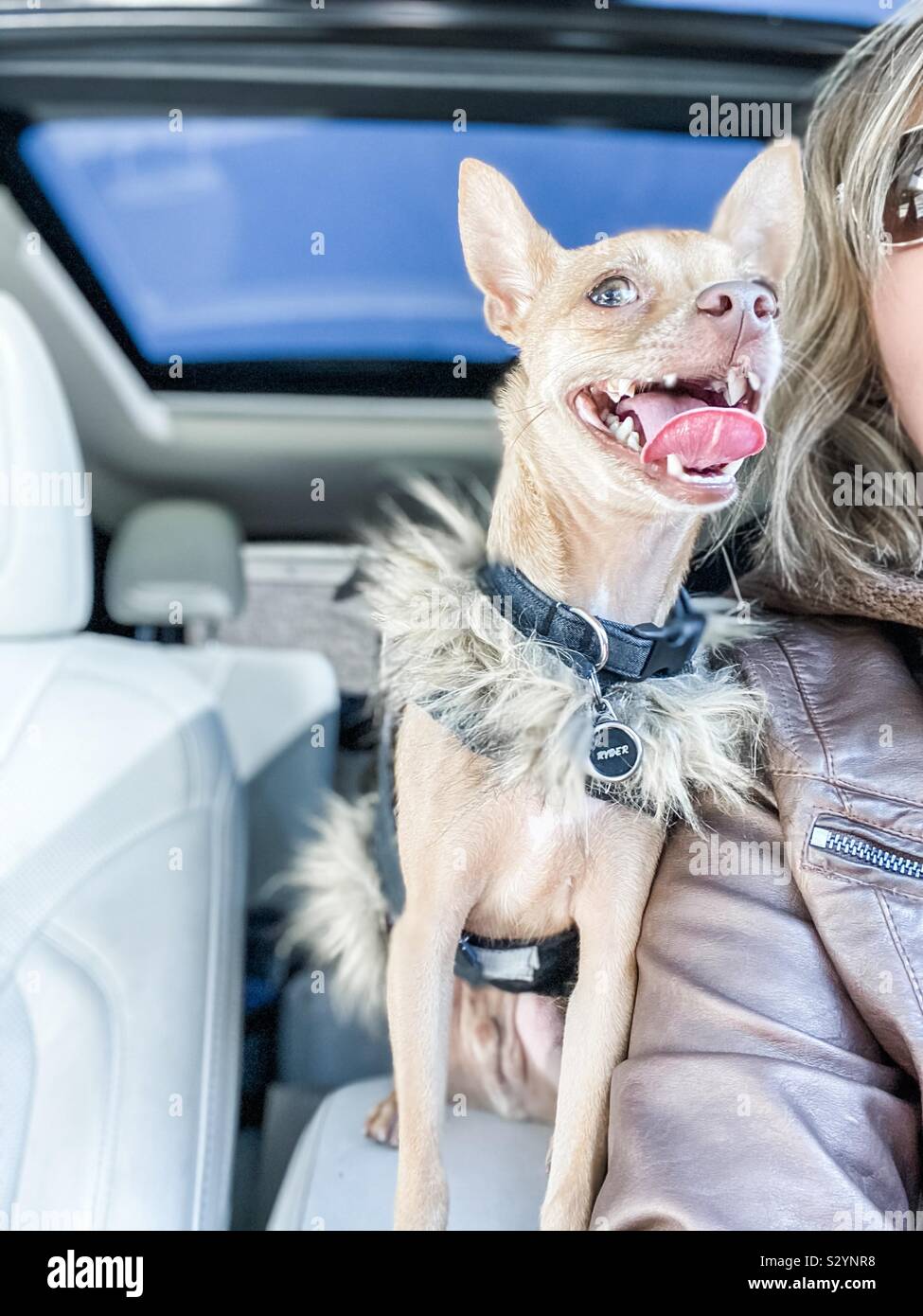 So glücklich auf eine Autofahrt mit Mama zu gehen. Stockfoto