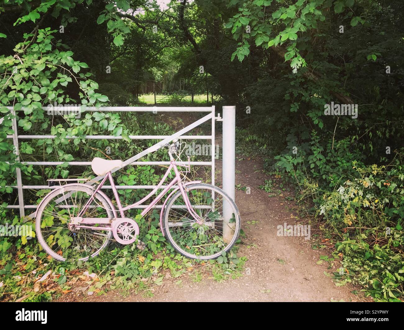 Rosa Damen Fahrrad stützte sich auf ein Land Gate mit grünen Bäumen, hinter Stockfoto