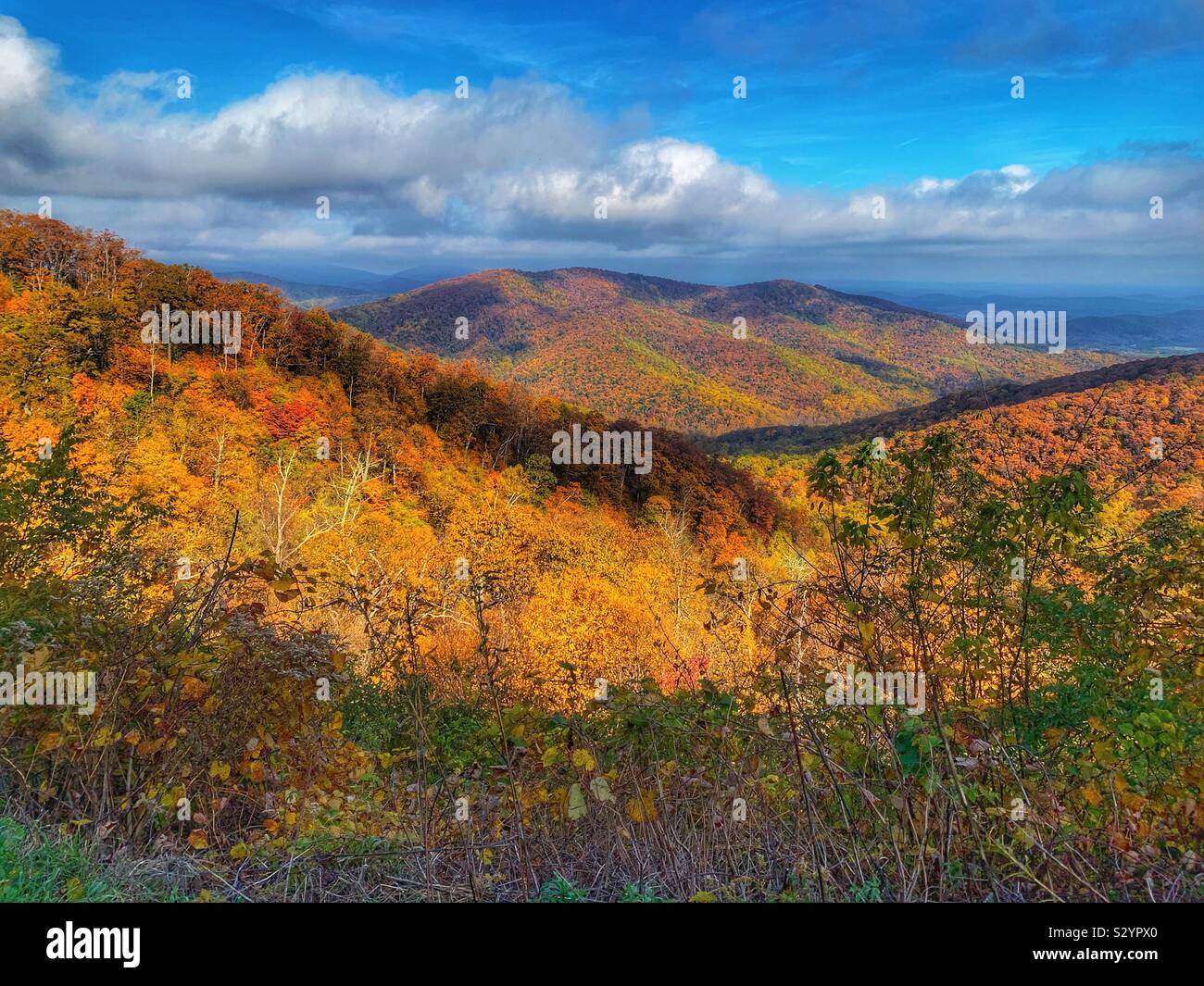 Shenandoah-Nationalpark Stockfoto