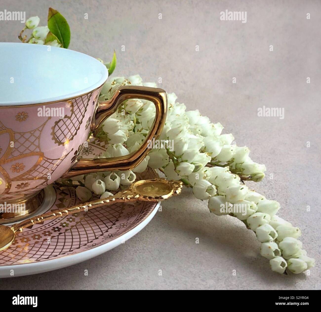 Kaffee Tasse und Untertasse mit Blume Stockfoto