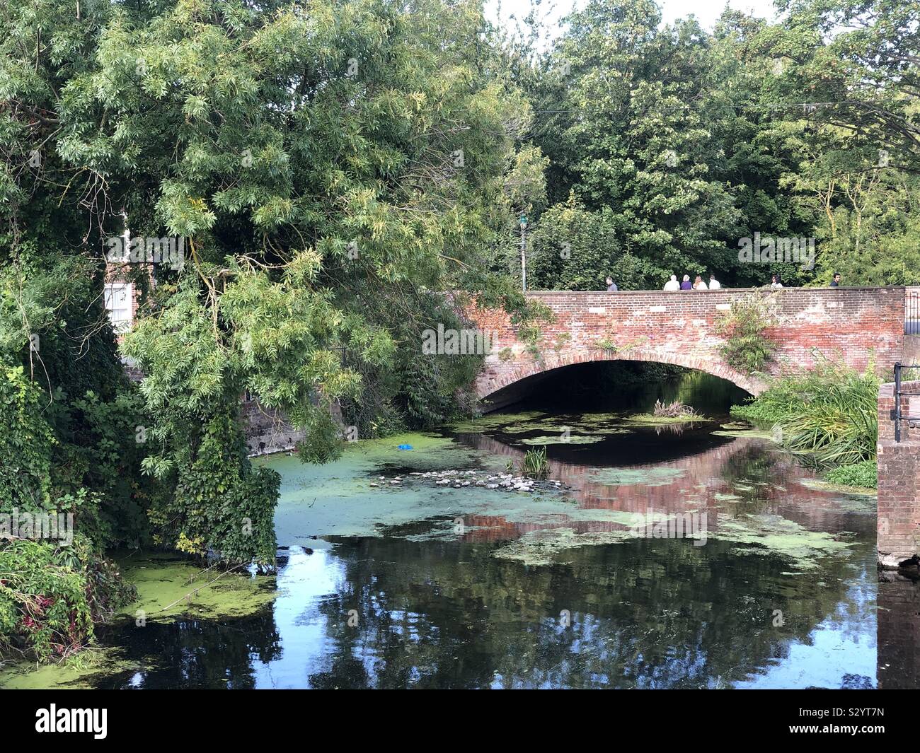 Canterbury sommer Fotos und Bildmaterial in hoher Auflösung Alamy