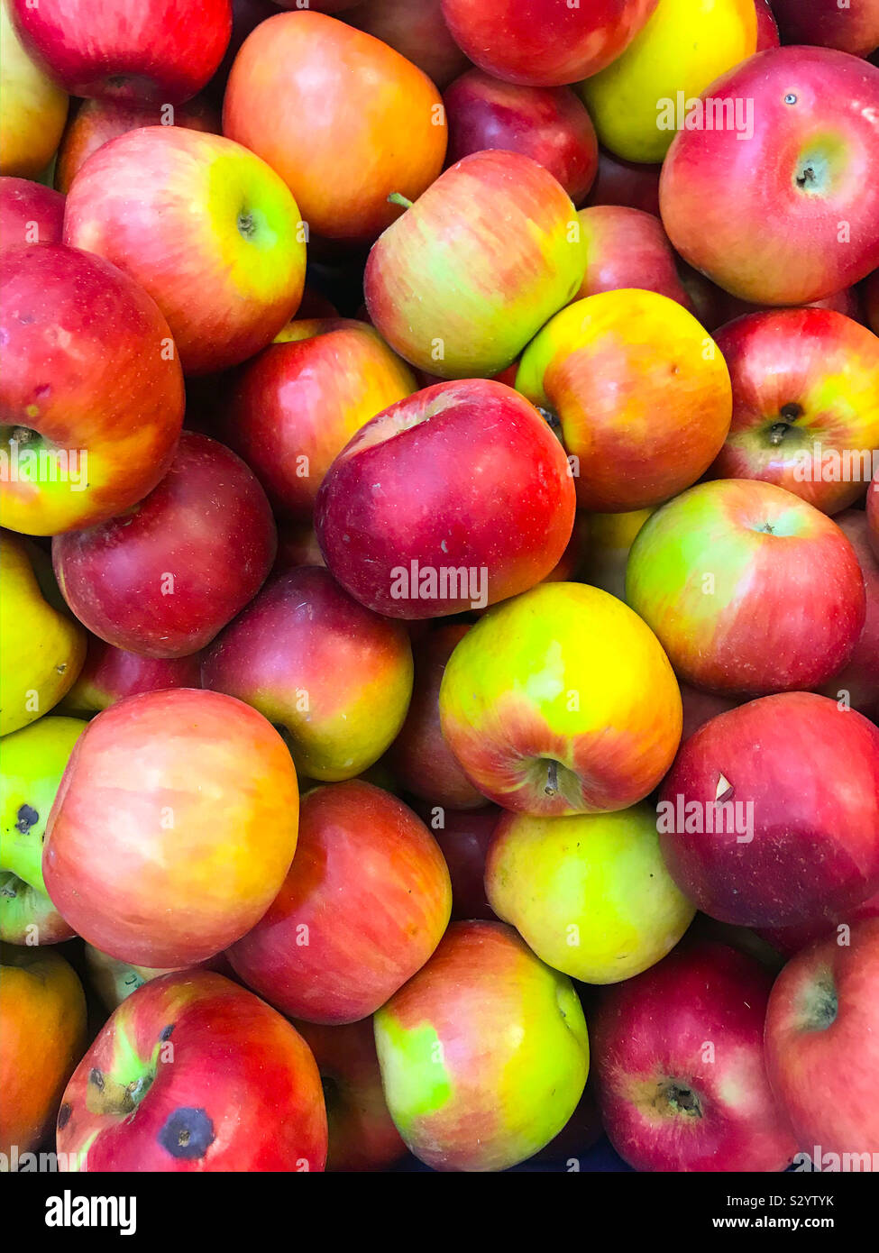 Frisch und saftig Apple. Gesunde Ernährung Stockfoto