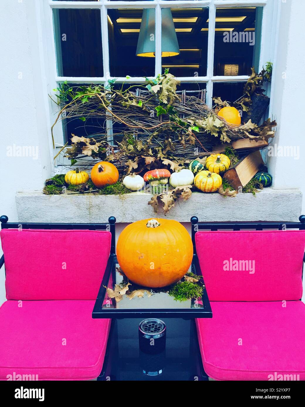 Herbst vibes. Herbst Dekorationen in den Garten im Innenhof. Vielfalt der Kürbisse auf dem Balkon. Stockfoto