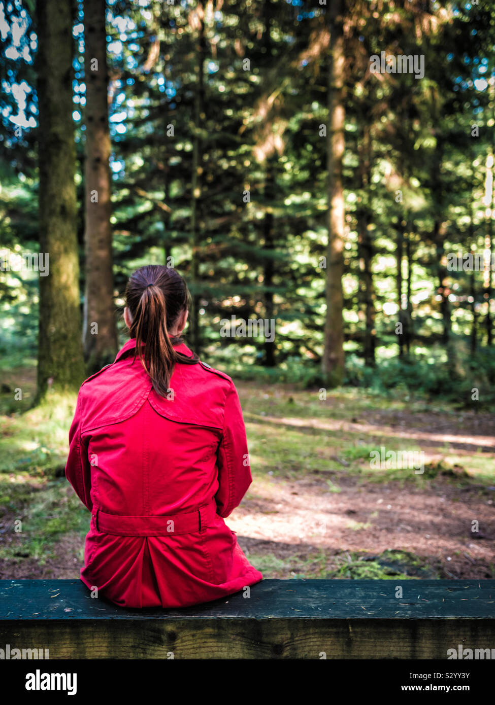 Ansicht der Rückseite eine Frau setzte sich auf eine Bank im Wald trägt einen roten Mantel Stockfoto