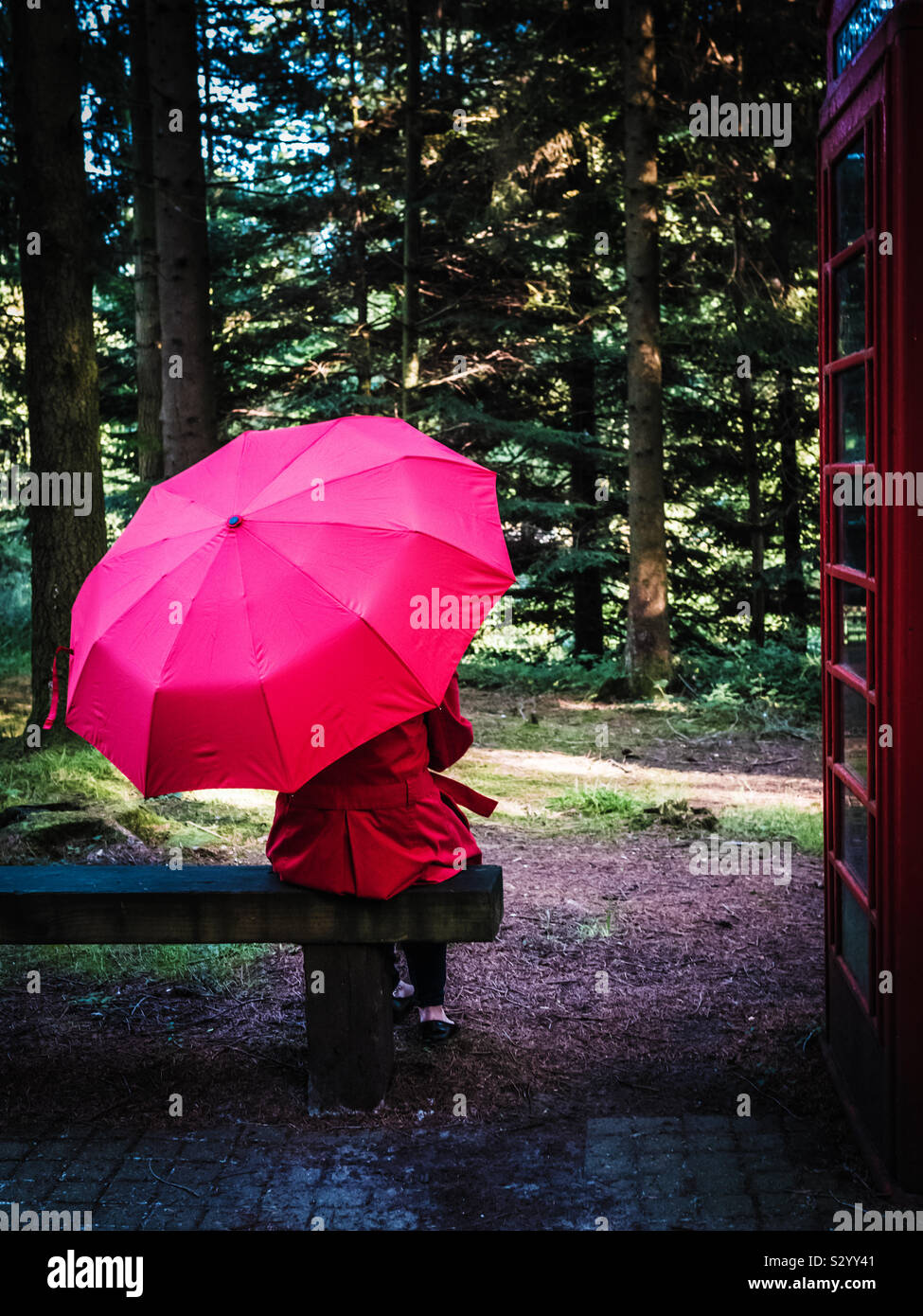 Die Frau setzte sich auf eine Bank im Wald trägt einen roten Mantel und mit einem roten Regenschirm Stockfoto