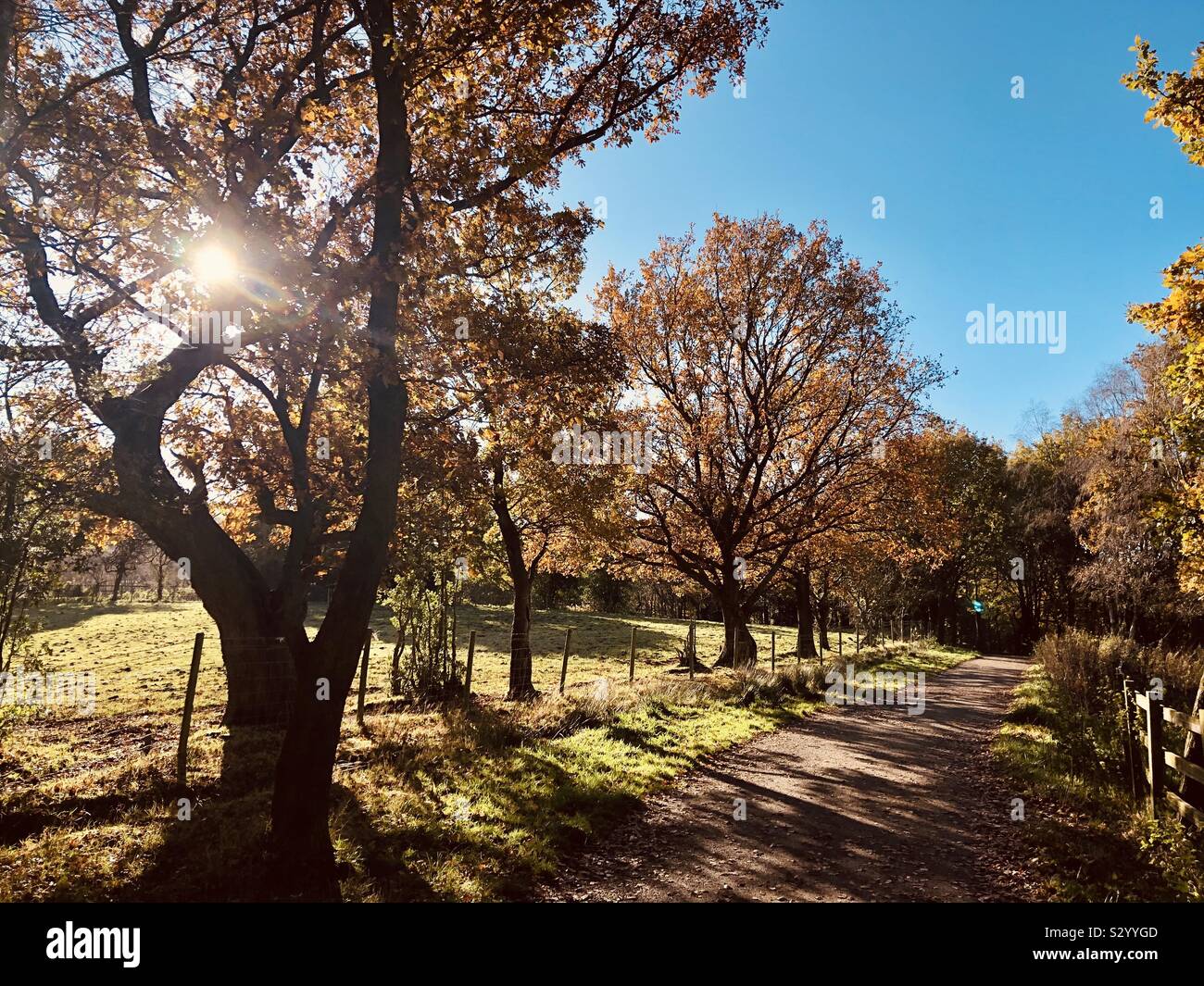 Herbst im Peak District, High Peak Stockfoto