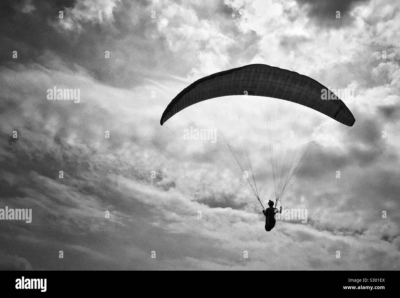 Wegfliegen Stockfoto