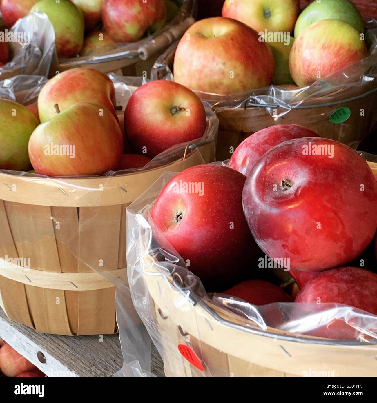Äpfel in Kunststoff ausgekleidet Eimer Stockfoto