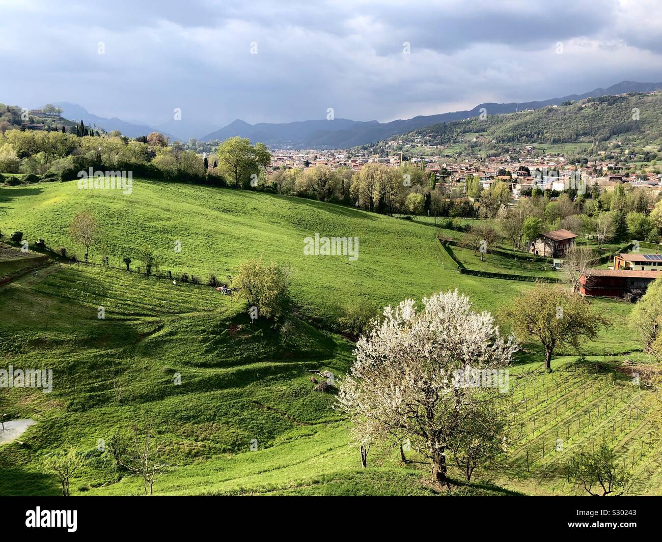 Grüne Wiesen in Bergamo, Italien Stockfoto
