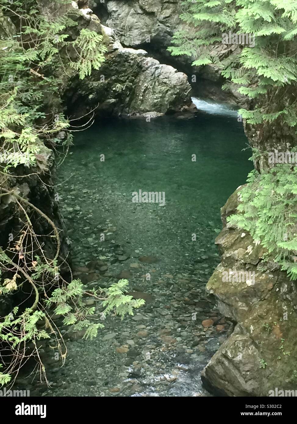 Waldnebenfluß Teich - Smartphone-aufgenommenes Stockfoto
