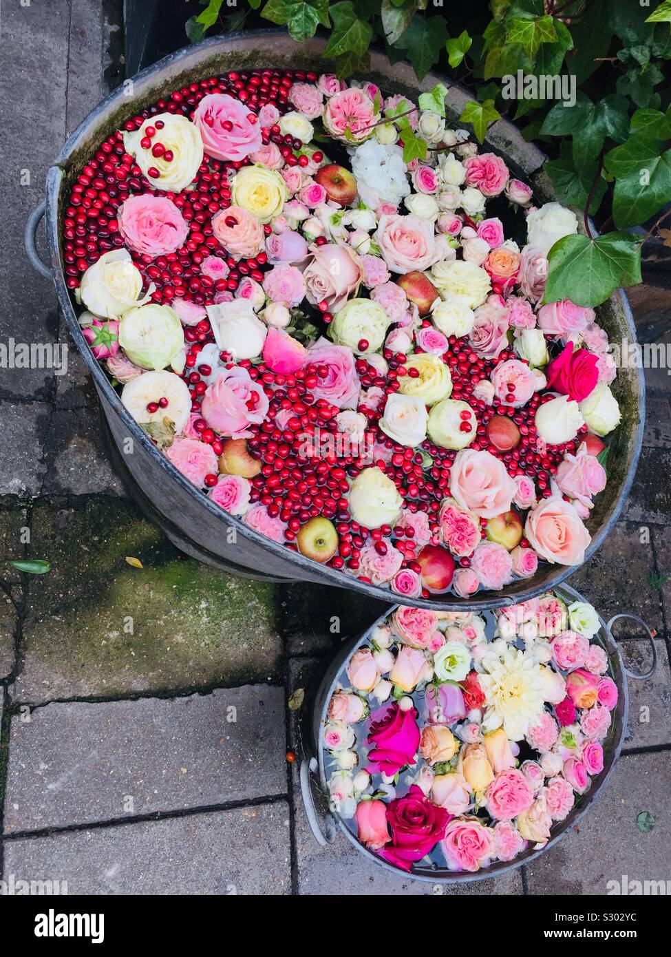 Rosa, Rot, gelben Rosen, Äpfel und Beeren in Wasser. Blumenschmuck in einem Blumenladen in Mayfair, London. Stockfoto