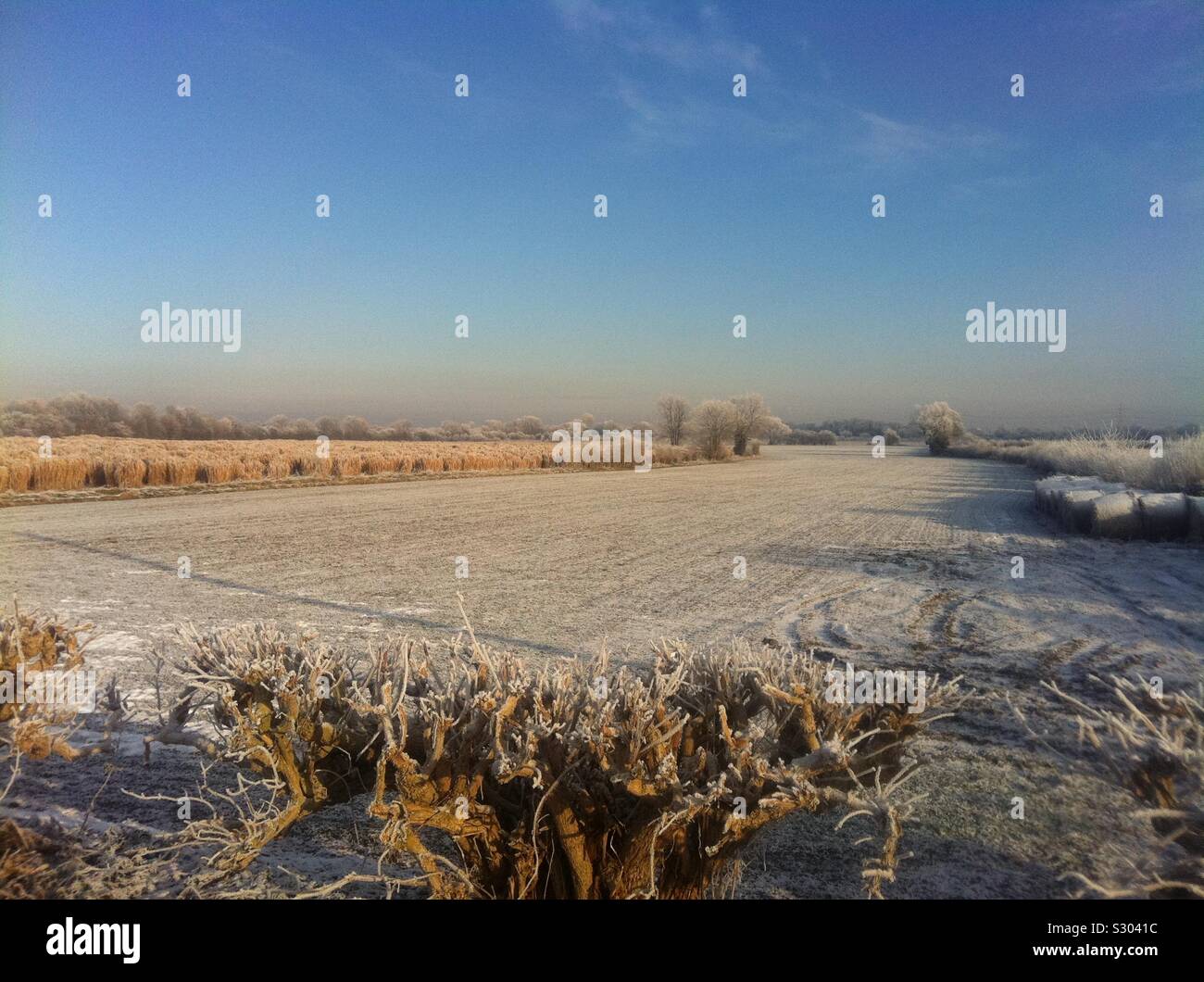 Flache Frosty Landschaft im Winter, Yorkshire, England, Vereinigtes Königreich - Smartphone-aufgenommenes Stockfoto