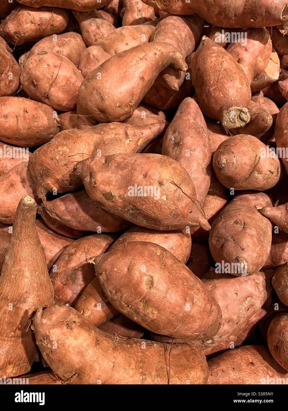 Viele leckere würzige Reife süsse Kartoffeln Stockfoto