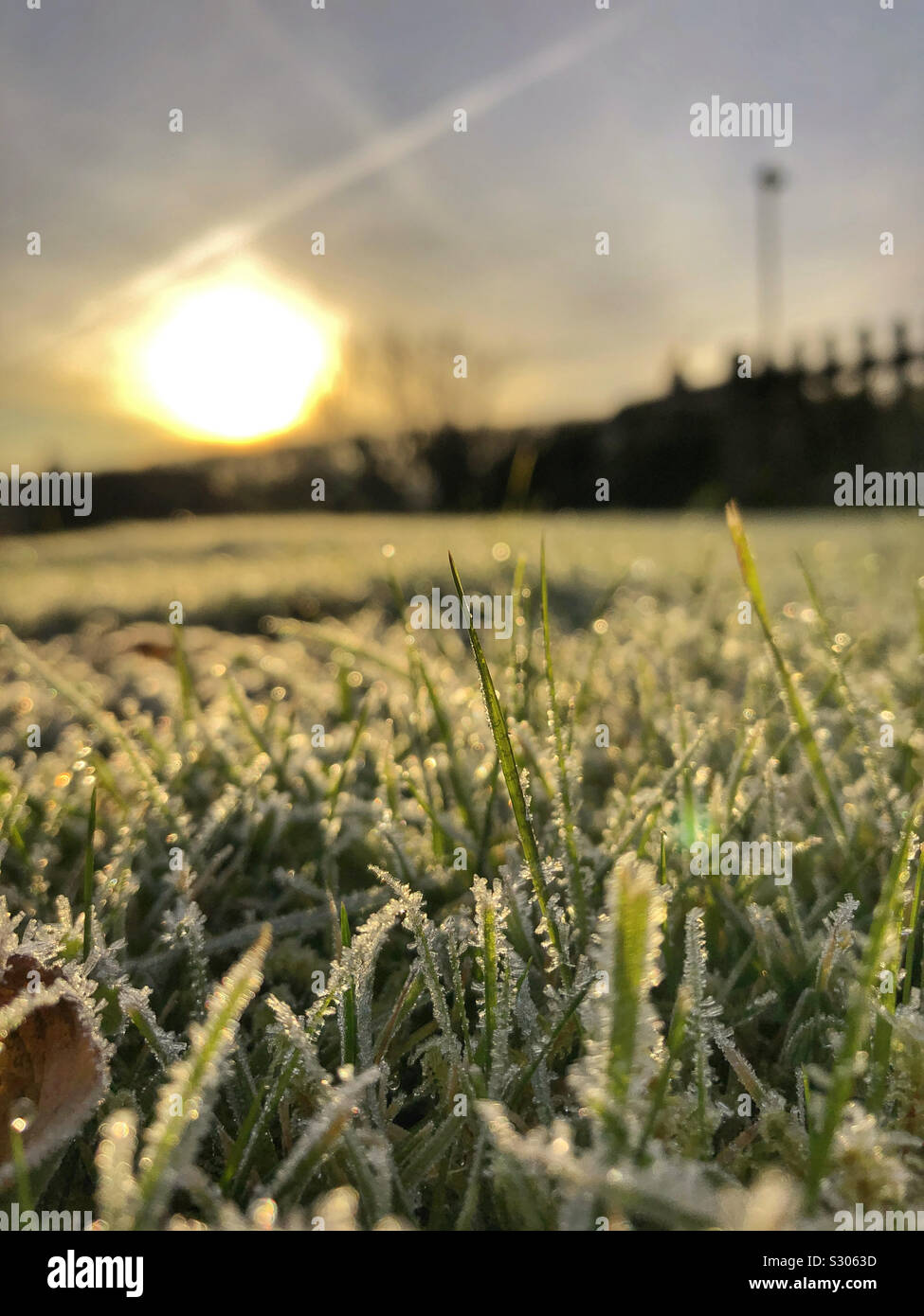 Frosty Rasen bei Sonnenaufgang an einem Winter Stockfoto