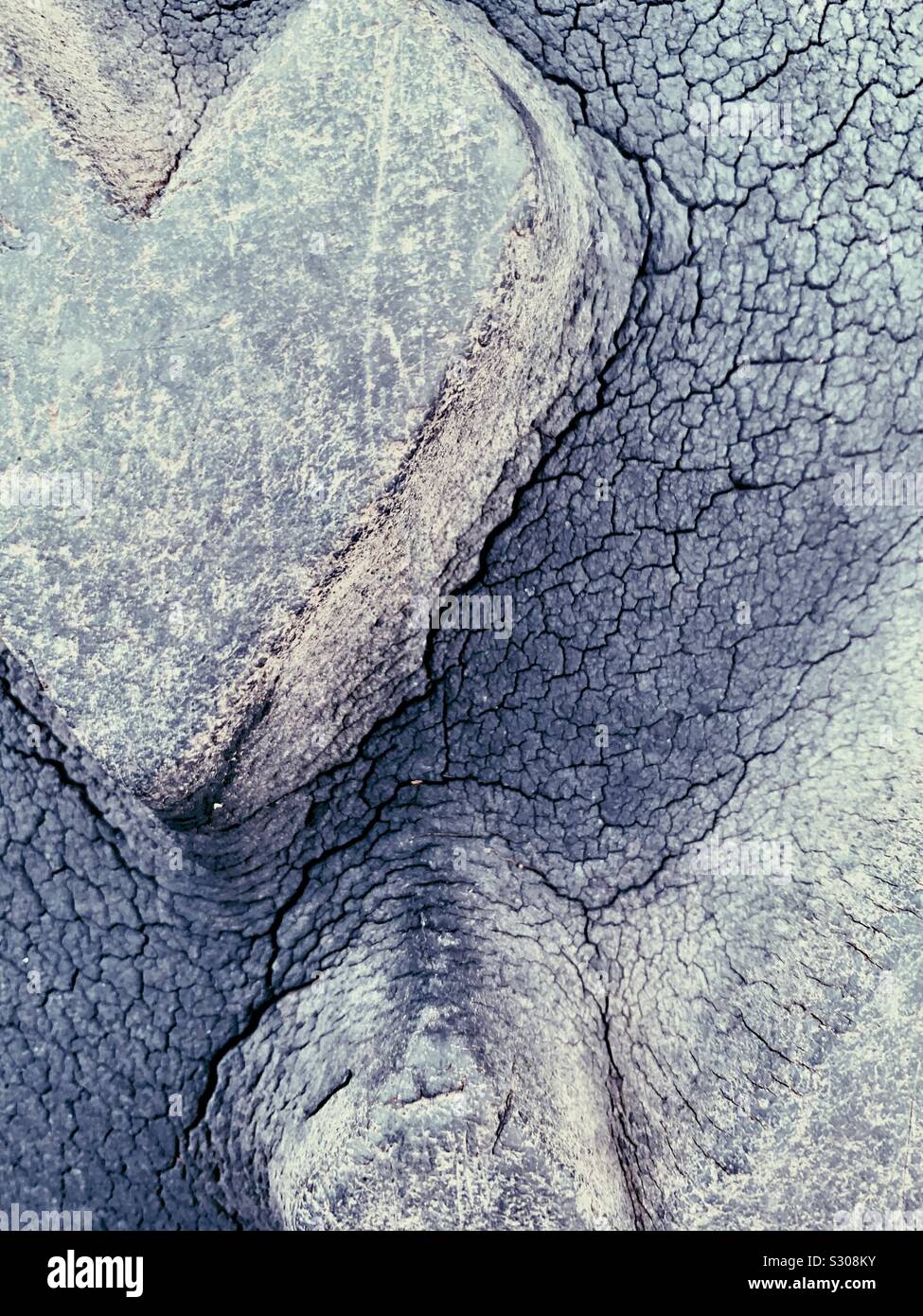 Lauffläche aus der Nähe und verwitterten - Smartphone-aufgenommenes Stockfoto