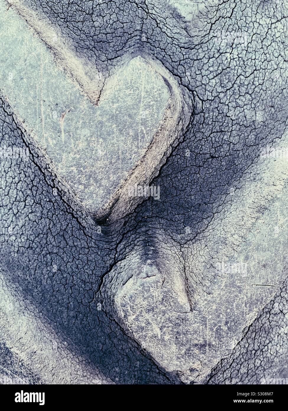 Lauffläche in Form eines Herzens Stockfoto