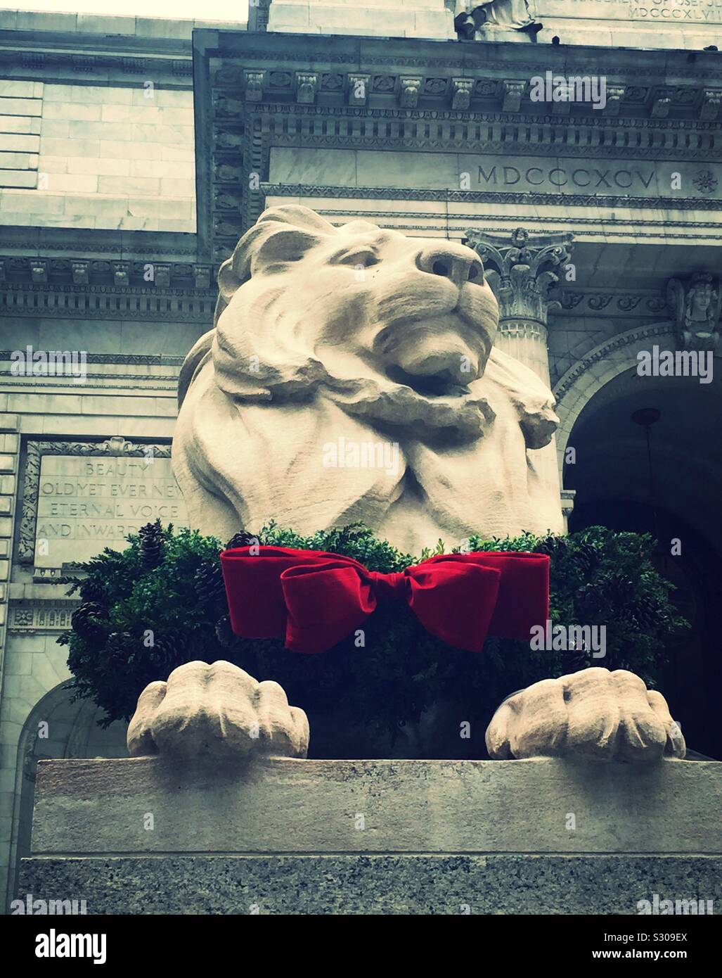 Geduld, einer der beiden berühmten Bibliothek Lions auf der Fifth Avenue in der New York Public Library mit einem festliche Weihnachten Kranz jedes Jahr, NYC, USA dekoriert ist Stockfoto