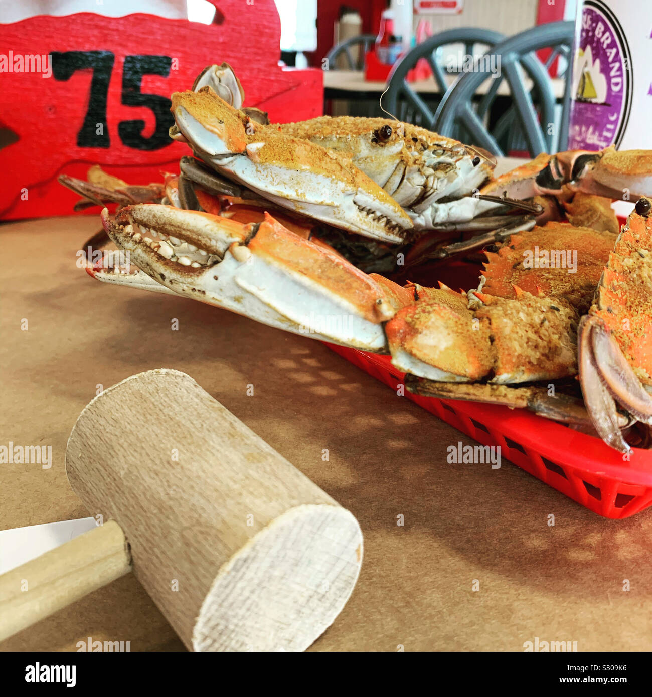 Maryland Blue crab Stockfoto