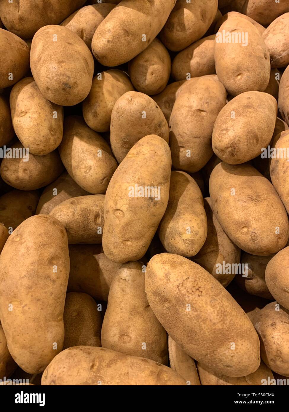 Perfekte frische Kartoffeln backen Stockfoto