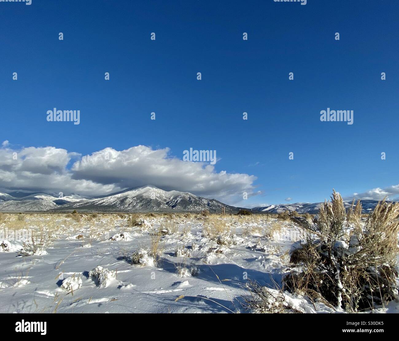 Verschneite Berglandschaft in New Mexico Stockfoto