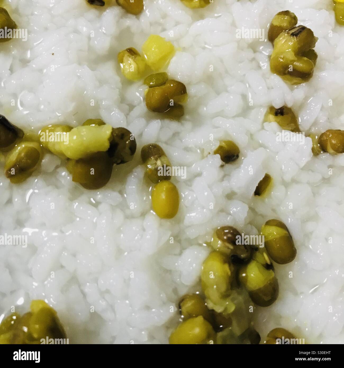 Nahaufnahme von Kerala Essen, Reis Mung dhal Porridge, moong Dhal Stockfoto