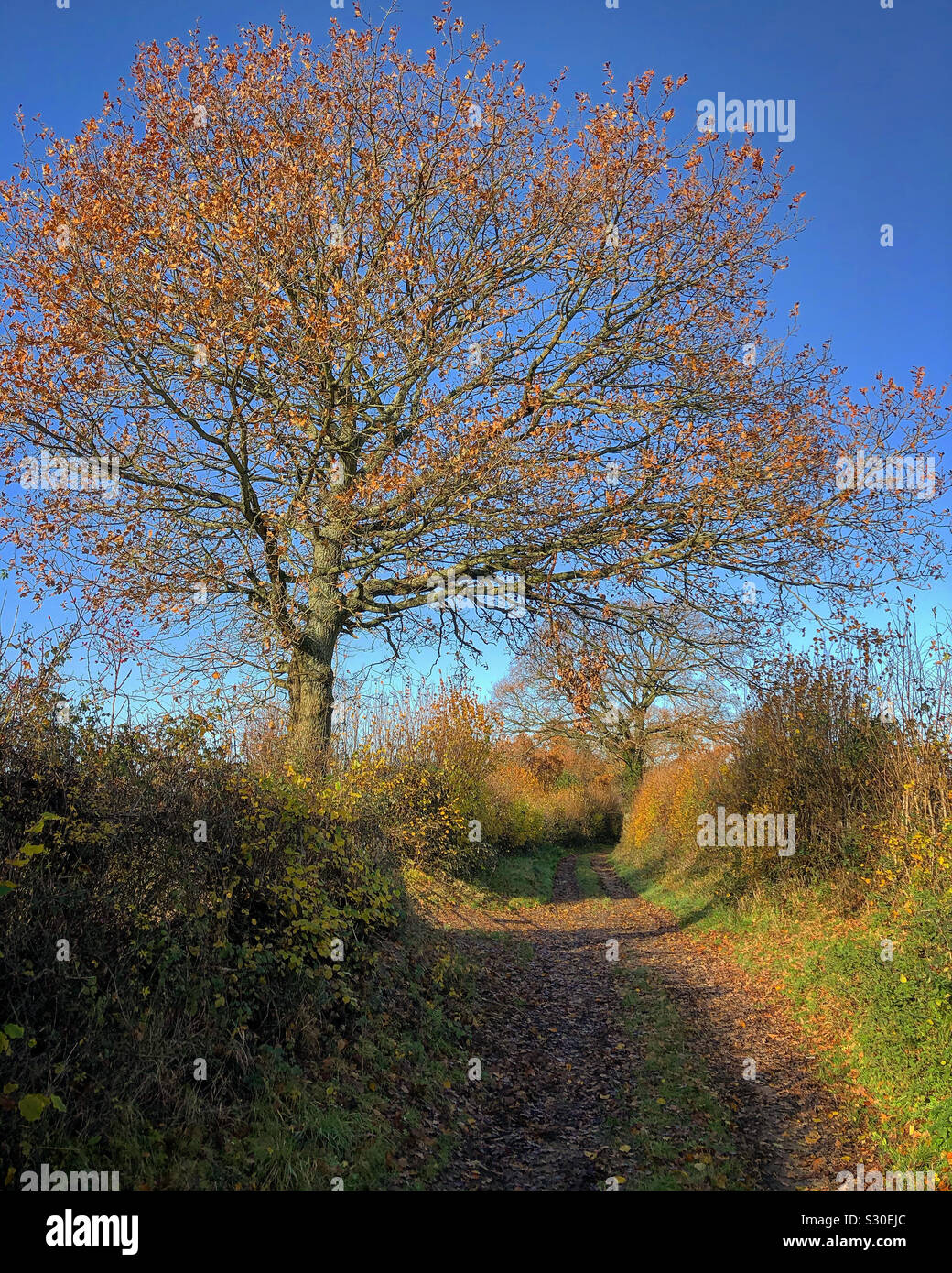 Jahreszeiten ändern Stockfoto