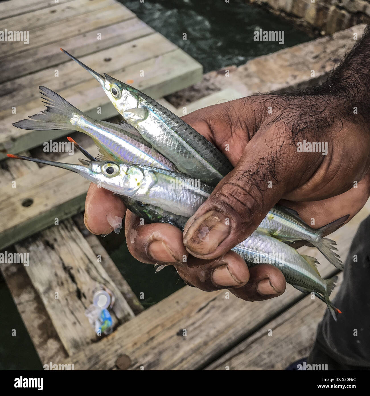 Fisch in Fisherman's Hand, Punta Santiago, Puerto Rico 2019. Stockfoto