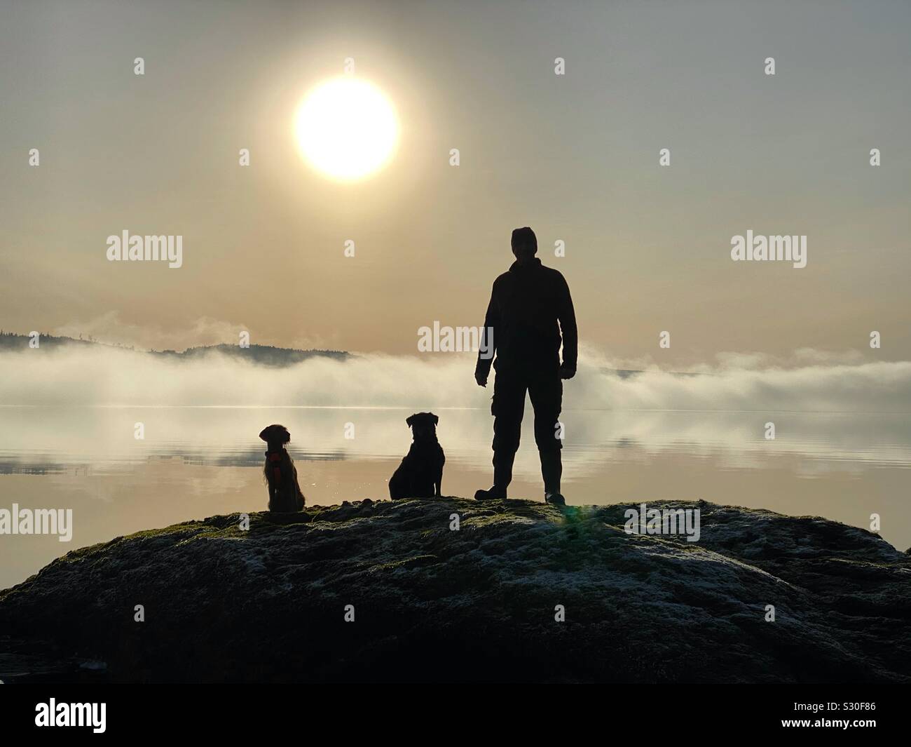 Menschen und Hunde in der Silhouette. Stockfoto