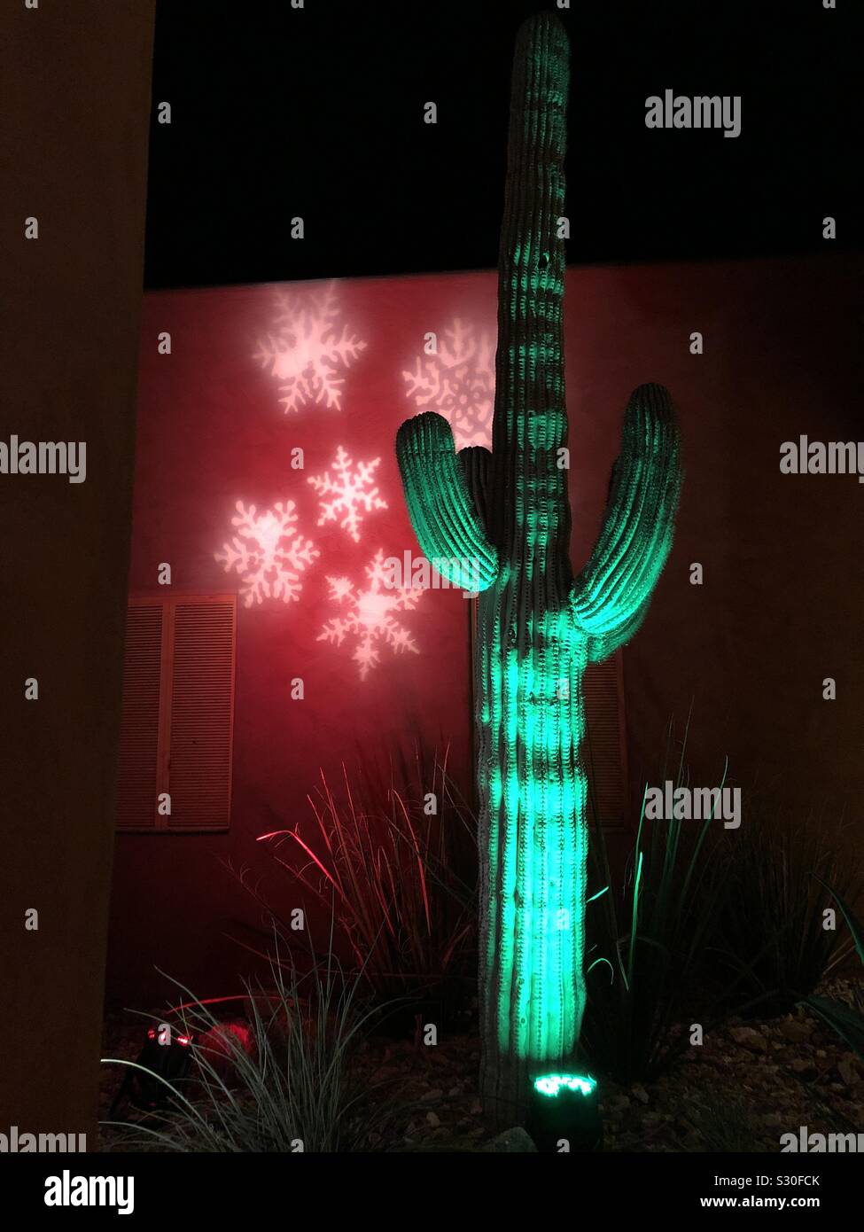 Phoenix, AZ - Dez. 2, 2019: Kakteen beleuchtet mit einem grünen Licht vor ein Adobe Gebäude mit rotem Licht und weißen Schneeflocken für einen Winterurlaub Dekoration beleuchtet. - Smartphone-aufgenommenes Stockfoto