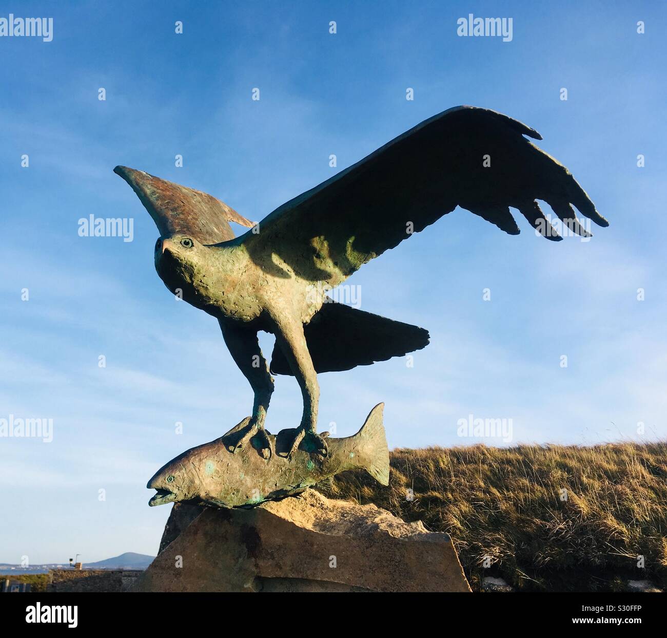 Osprey Skulptur von David Annand am schottischen Dolphin Center am Spey Bay, Moray, Schottland Stockfoto