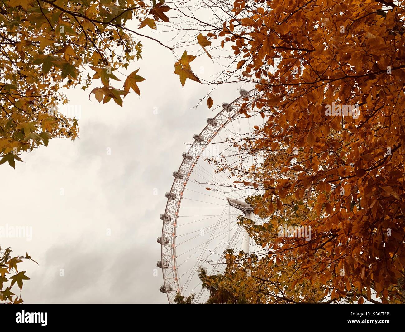 London Eye im Herbst Stockfoto