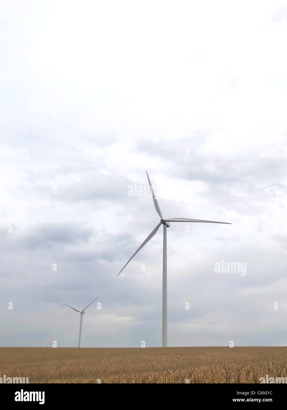 Windenergieanlagen in das Feld ein. - Smartphone-aufgenommenes Stockfoto