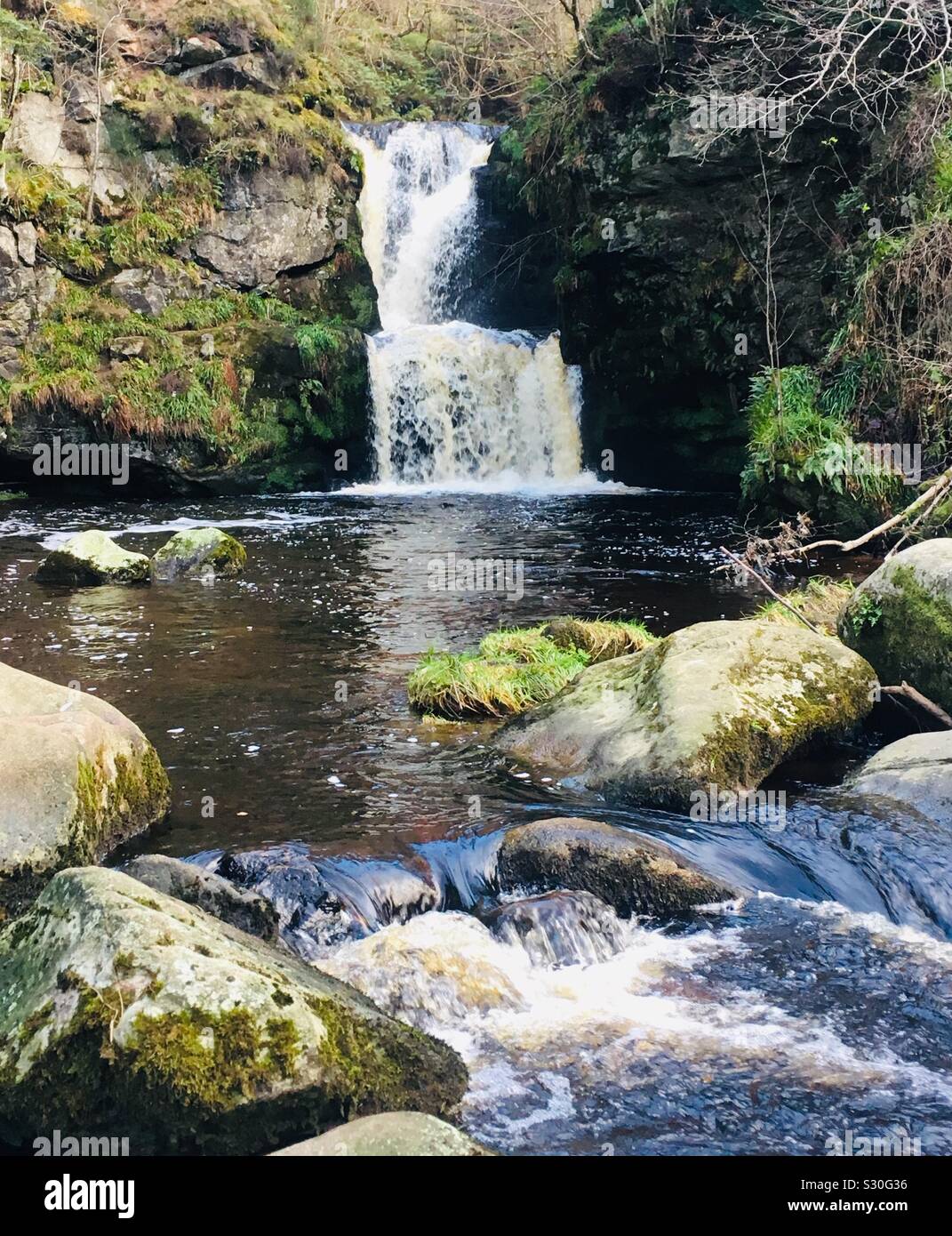 Wasserfälle bei Aberlour, Highlands, Schottland, das Linn fällt oder Linn von Ruthrie Stockfoto