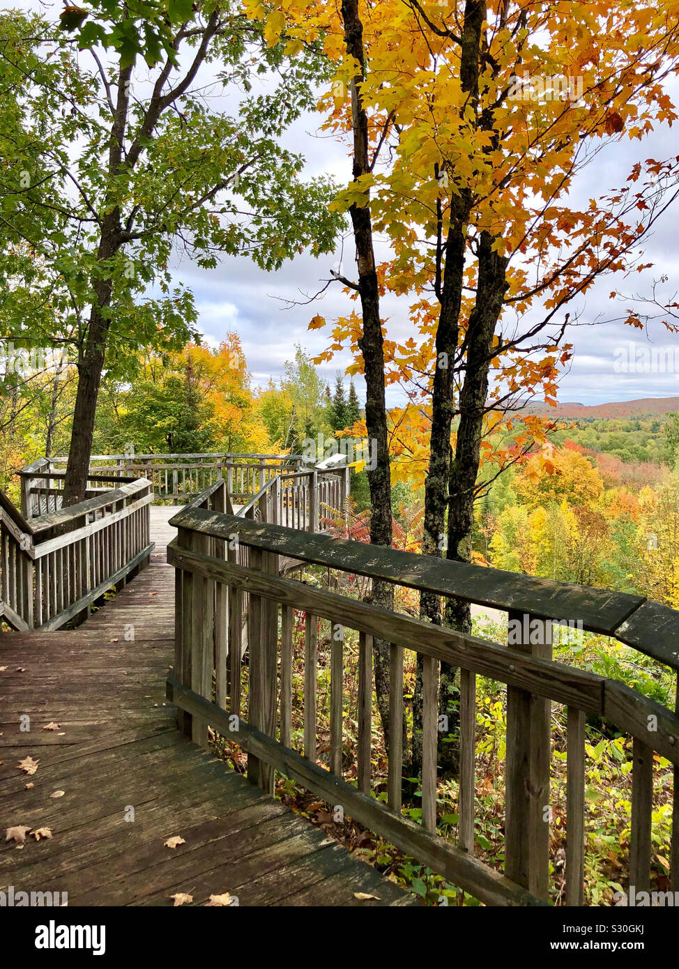 Herbstfarben in der Chequamegon-Nicolet National Forest in Wisconsin. Stockfoto