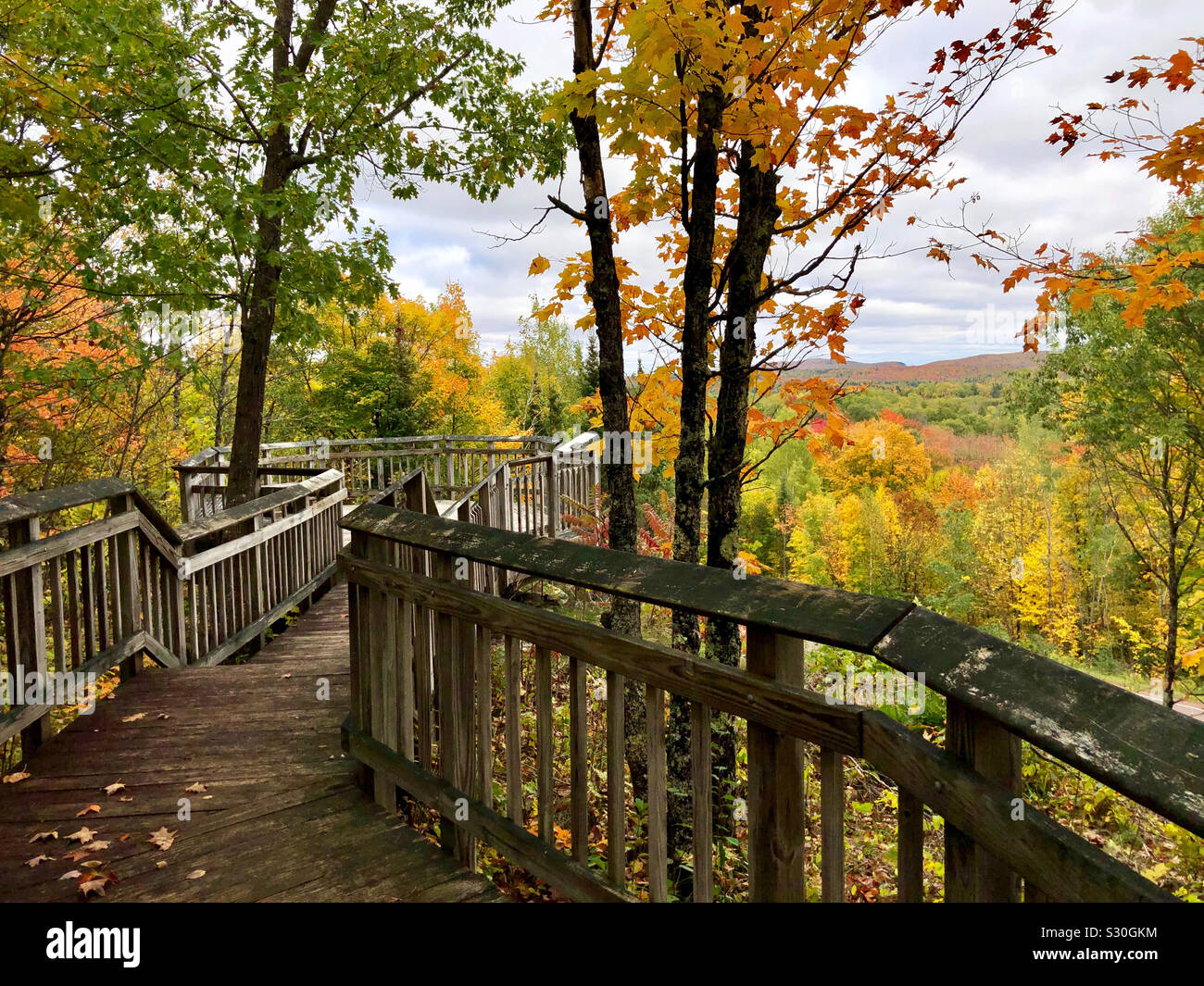 Herbstfarben in der Chequamegon-Nicolet National Forest in Wisconsin. Stockfoto