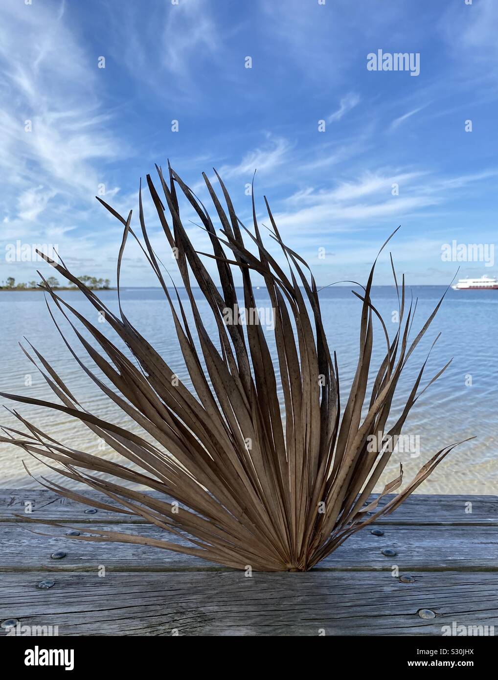 Braun palm leaf gehaftet in einer Holzbank mit Blick auf die Blue Bay Wasser dahinter Stockfoto
