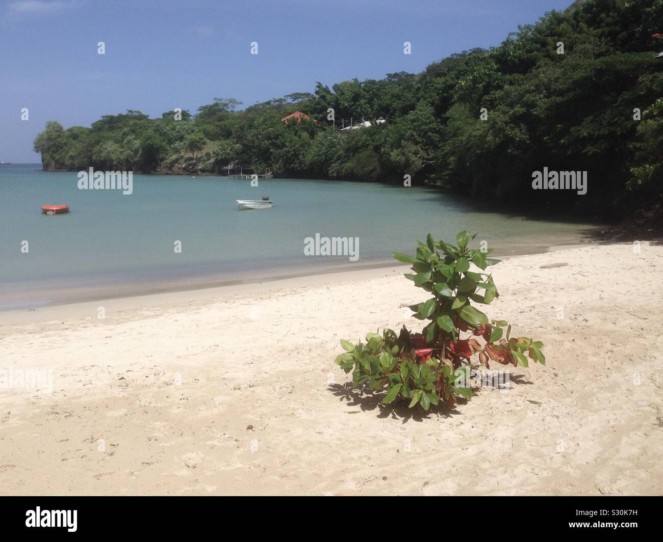 Morne Rouge Strand, Granada. - Smartphone-aufgenommenes Stockfoto