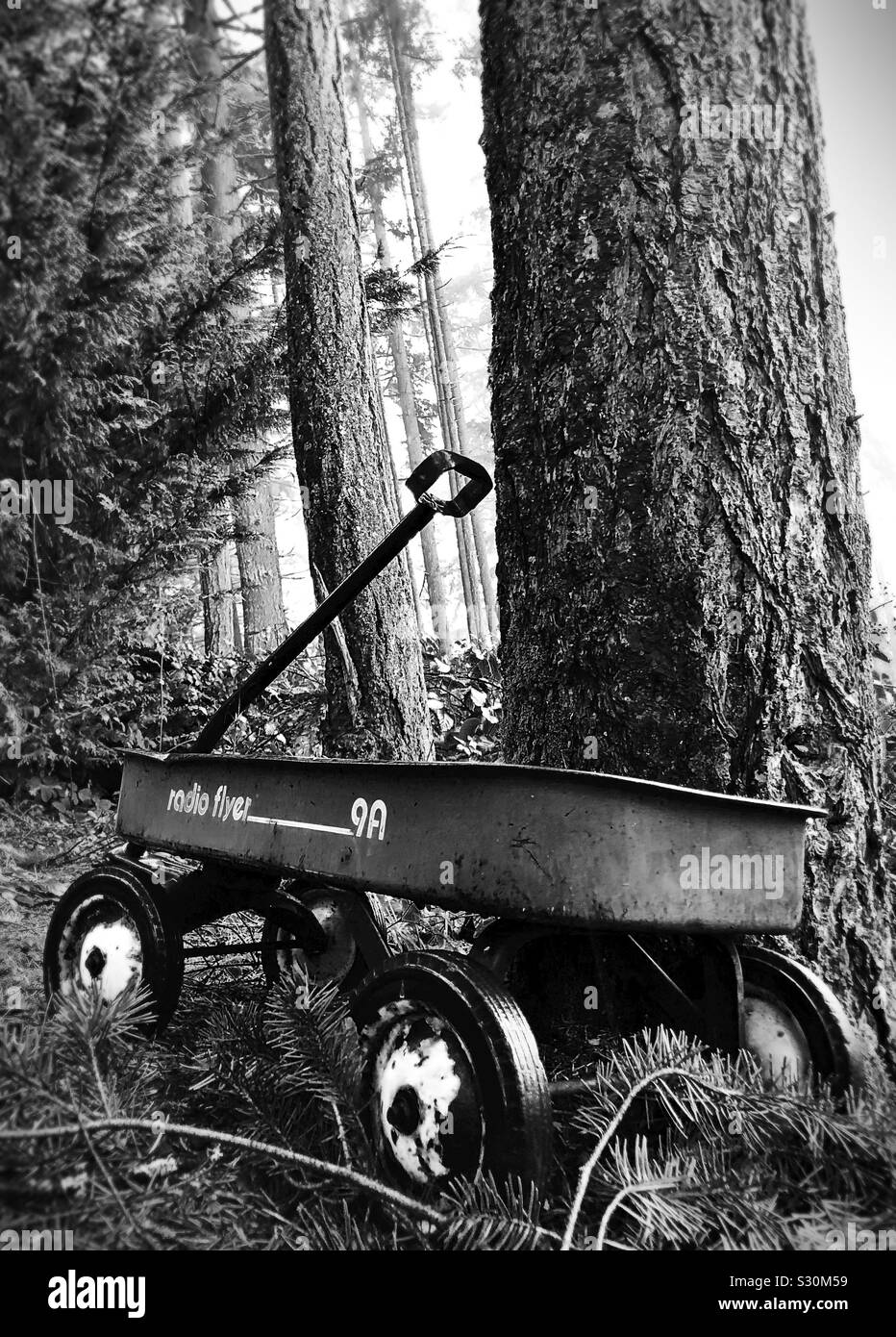 Ein altes Radio Flyer Wagen neben einem Baum in einem Wald. Stockfoto