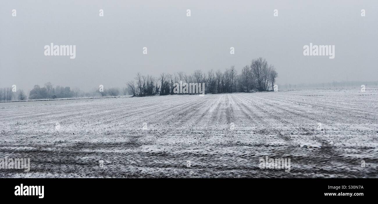 Schnee Stockfoto