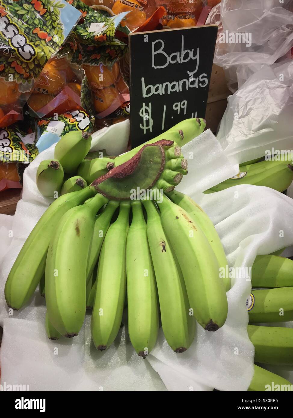 Ein Bündel von Baby grüne Bananen zum Verkauf in dem Gang, der ein Lebensmittelgeschäft, USA Stockfoto