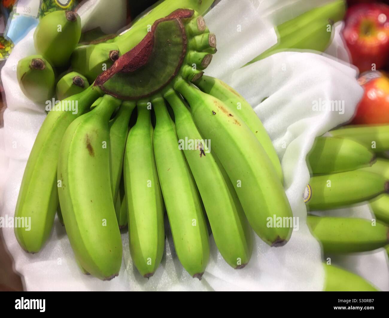 Ein Bündel von Baby grüne Bananen zum Verkauf in dem Gang, der ein Lebensmittelgeschäft, USA Stockfoto