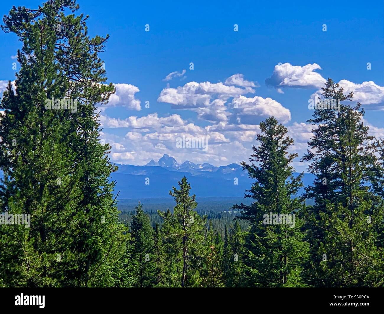 Blick auf die Grand Tetons vom Yellowstone Nationalpark camp site Stockfoto