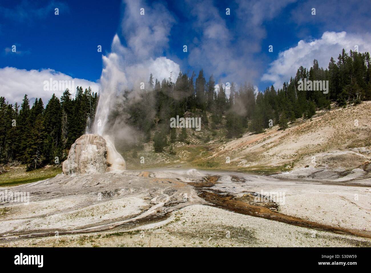 Das Lone Star Geysir im Yellowstone National Park Stockfoto