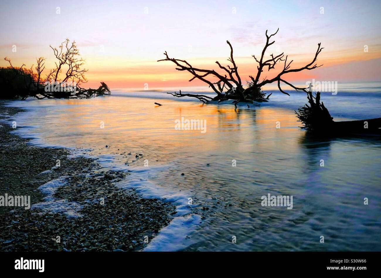 Sonnenaufgang auf dem Boneyard Beach in South Carolina Stockfoto