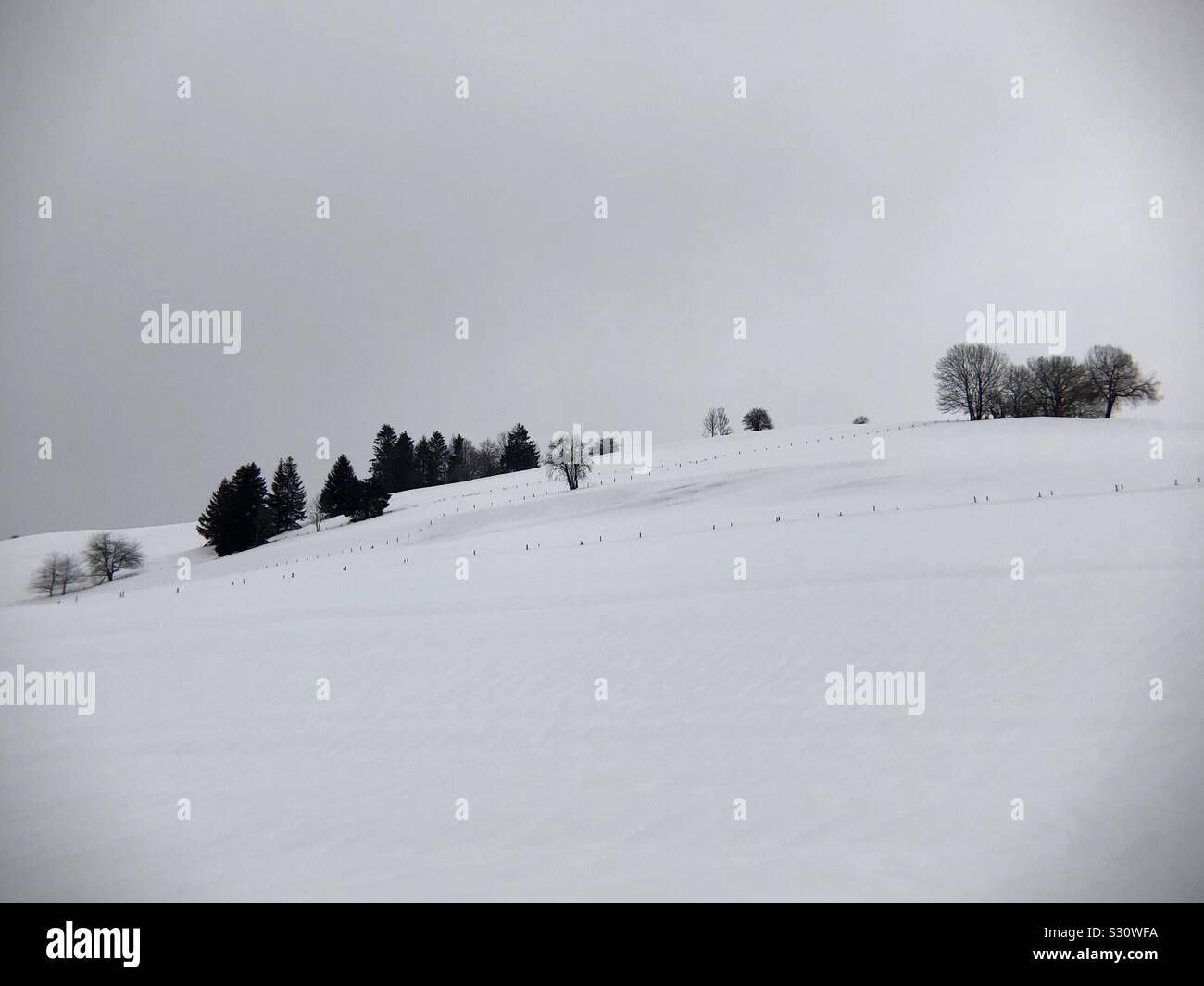 Kalten Wintertag in den Allgäuer Alpen, Deutschland. Stockfoto