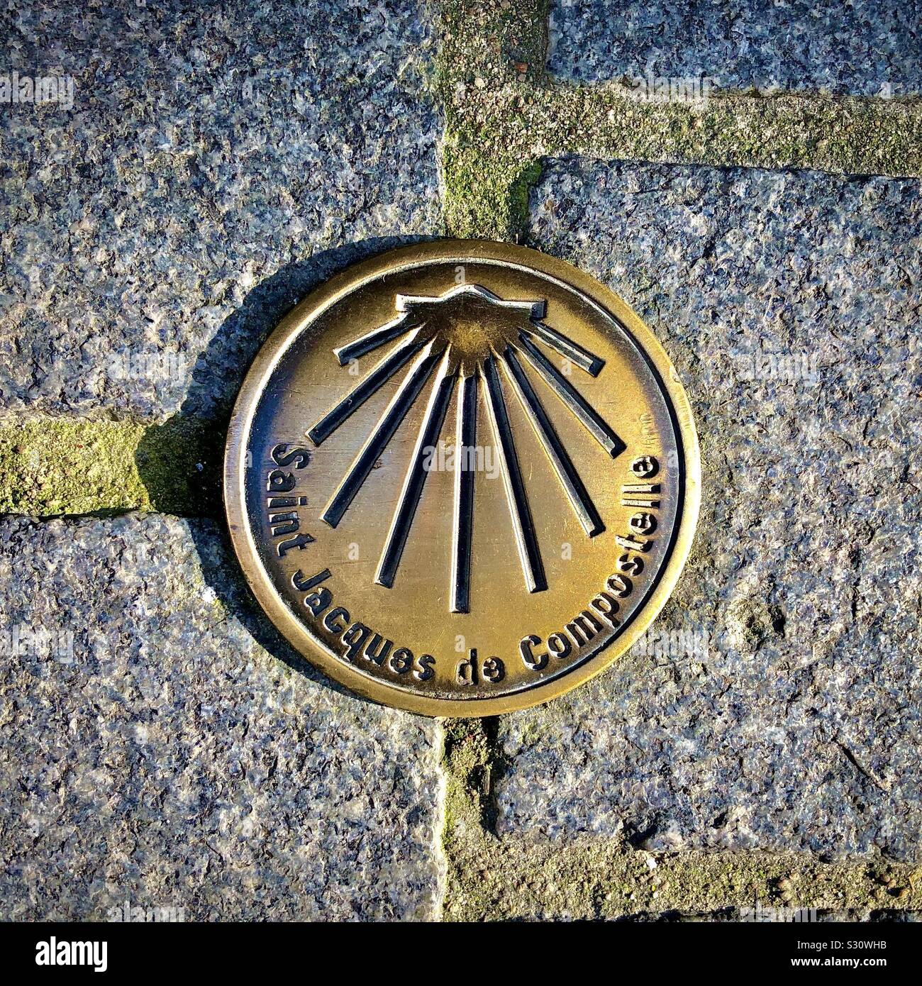 Messing Marker auf den Pilgerweg nach "Santiago De Compostela" in Spanien. Stockfoto