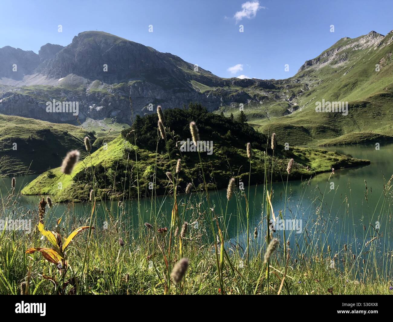 Kleine Insel in der Mitte des schönen Schrecksee in den Allgäuer Alpen, Deutschland. Stockfoto